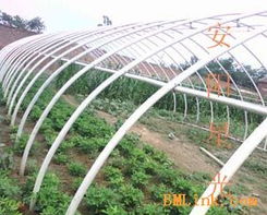 供應(yīng)新型大棚支架 安陽(yáng)星光種植技術(shù)開發(fā)引領(lǐng)農(nóng)業(yè)現(xiàn)代化